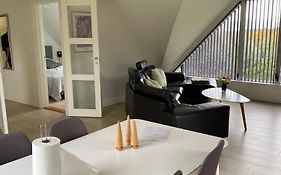 Søkig